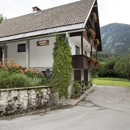 Διαμέρισμα Turisticna Kmetija Gartner 3a Bohinj