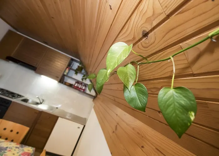 Turisticna Kmetija Gartner 3a *