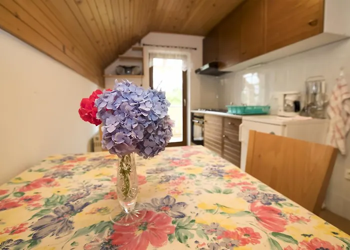 Turisticna Kmetija Gartner 3a Apartamento *